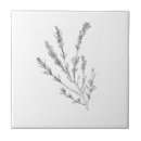 Suche nach kräuter fliesen Rosmarin