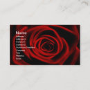 Suche nach romantische rote rose visitenkarten Mit blumen