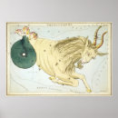 Suche nach capricorn poster Meerziege