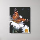 Suche nach monarchfalter leinwandbilder Schmetterling