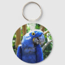 Suche nach macaw schlüsselanhänger Papagei