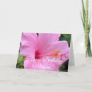 Suche nach hibiscus Rosa
