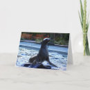 Suche nach seelöwen postkarten Wasser