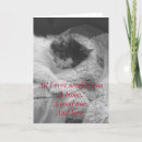 Suche nach obdachlos postkarten Rettung