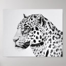 Suche nach leopard poster Schwarz weiß
