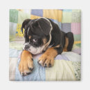 Suche nach humor magnete Cute