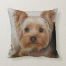 Suche nach yorkshire kissen Terrier