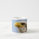 Suche nach raubvögel tassen Weißkopfseeadler