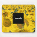 Suche nach sonnenblume mousepads Natur