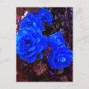 Suche nach blaue rose postkarten Botanisch