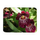 Suche nach elegante blumen magnete Natur