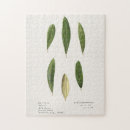 Suche nach blatt puzzle Grün