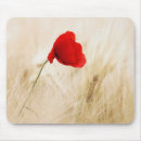Suche nach single mousepads Blume