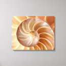 Suche nach muschel leinwandbilder Seashells