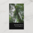 Suche nach bambuswald Natur