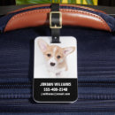 Suche nach corgi gepäckanhänger Welpe