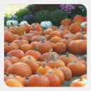 Suche nach chrysanthemen aufkleber Herbst