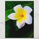 Suche nach gelbe blume flyer Wellness center