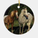 Suche nach appaloosa ornamente Bob langrish
