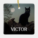 Suche nach katze und mond ornamente Schwarzkatze
