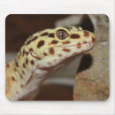Suche nach geckos mousepads Leopard