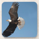 Suche nach flug untersetzer Natur