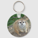 Suche nach meerkats accessoires Niedlich