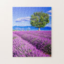 Suche nach provence puzzle Europe