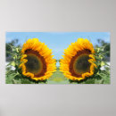 Suche nach sonnenblumen andere poster Mother