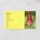 Suche nach flower visitenkarten Blume