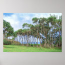 Suche nach hawaii poster Palme