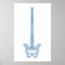 Suche nach human body poster Biology