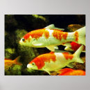 Suche nach fish poster Ozean