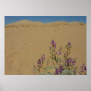 Suche nach mojave poster Fotografie