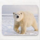 Suche nach steve mousepads Alaska