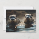 Suche nach otter birthday karten Fluss