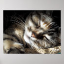 Suche nach cat eyes poster Kitty