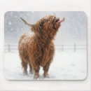 Suche nach rind mousepads Weide