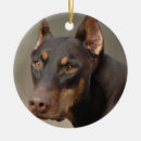 Suche nach rost ornamente Dobermann