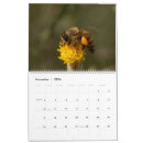 Suche nach honigbienen kalender Insekten