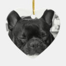 Suche nach französische bulldoggen ornamente Haustiere