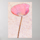 Suche nach mohn poster Rosa