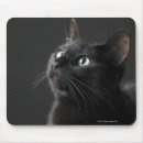 Suche nach vorderansicht mousepads Zuhause
