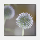 Suche nach für floristen magnete Mit blumen