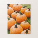 Suche nach kürbise puzzle Landwirtschaft