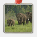 Suche nach indischer elefant ornamente Jagdeep rajput