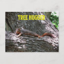 Suche nach eichhörnchen spaß postkarten Baum