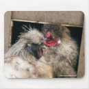 Suche nach hennen mousepads Huhn