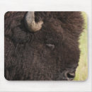 Suche nach bison mousepads Tiere