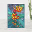 Suche nach unkräuter karten Mutter